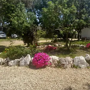 Nature , Lagos Portugal